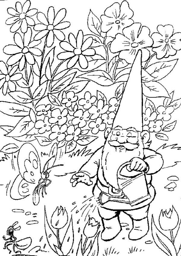 Kids-n-fun.com | Coloring page David the Gnome David the Gnome